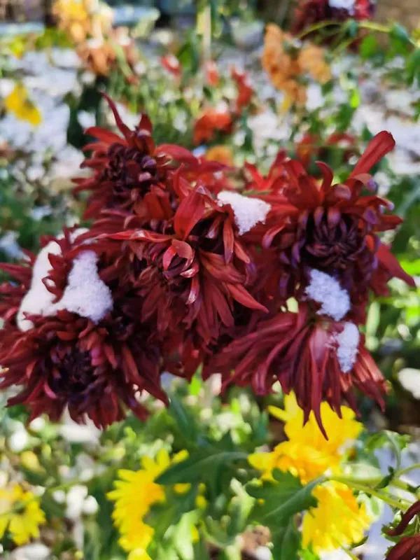 早安营口直播,早安营口最新版