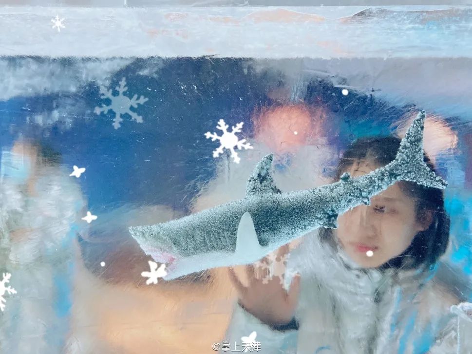 天津海昌极地海洋世界年票,天津海昌极地海洋99票价真实性