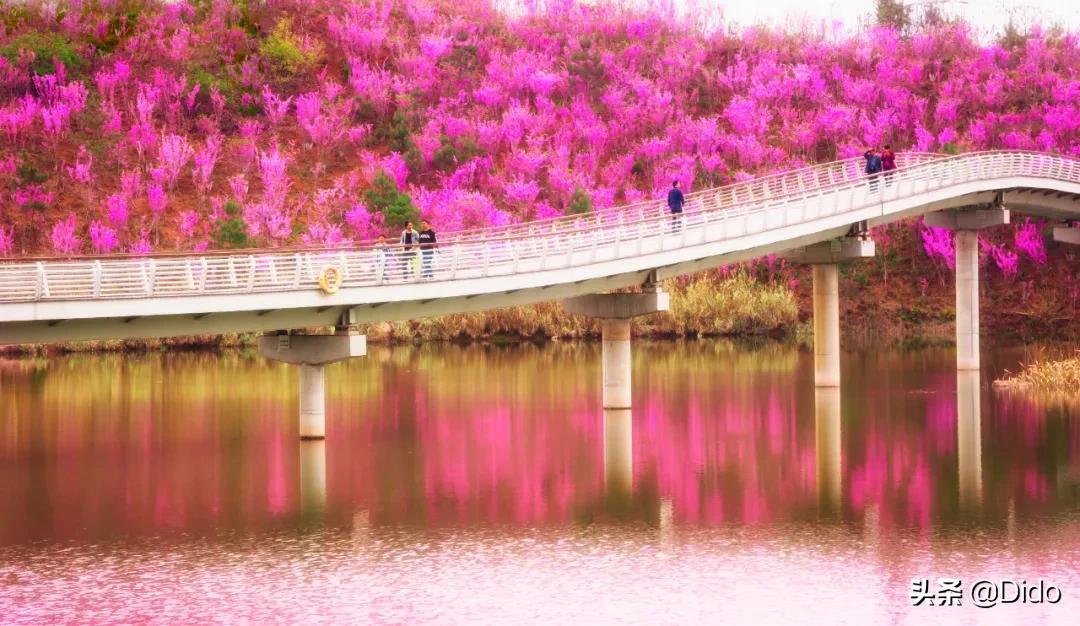 成都top100小区,成都最美top10图书馆