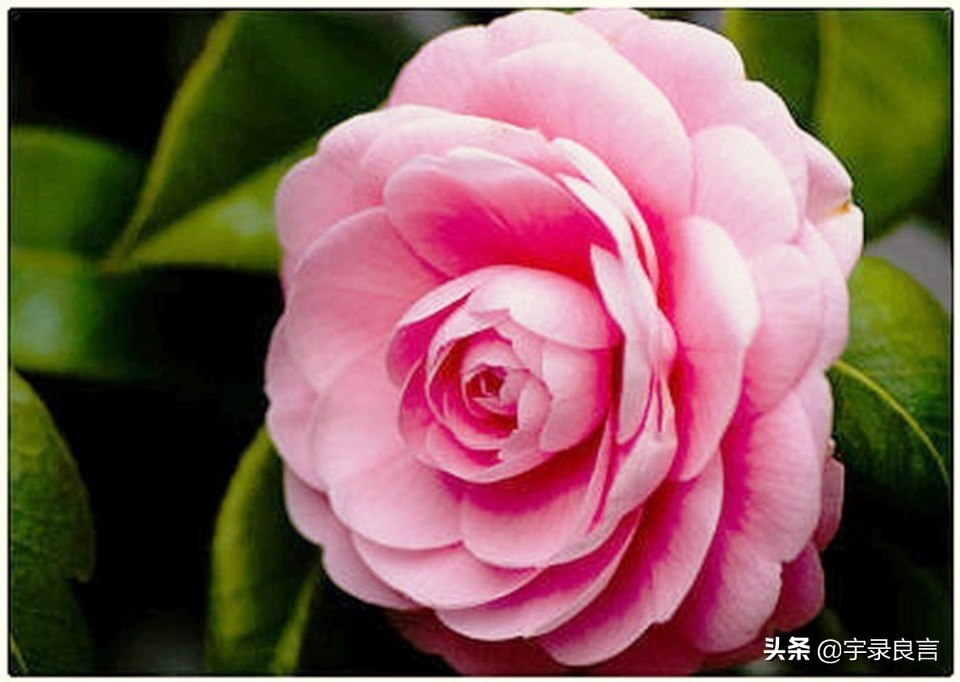 个性签名有深意的句子,个性签名简洁有深度的句子