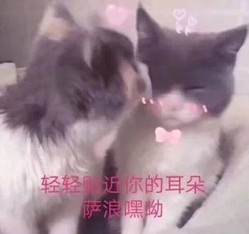 空姐导游变身主播？天猫国际整合出境游资源“重连全世界”