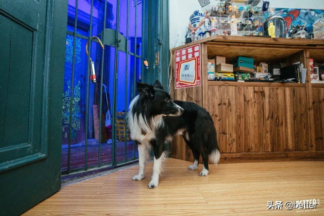 逛完玩具店,逛了一圈儿童玩具市场