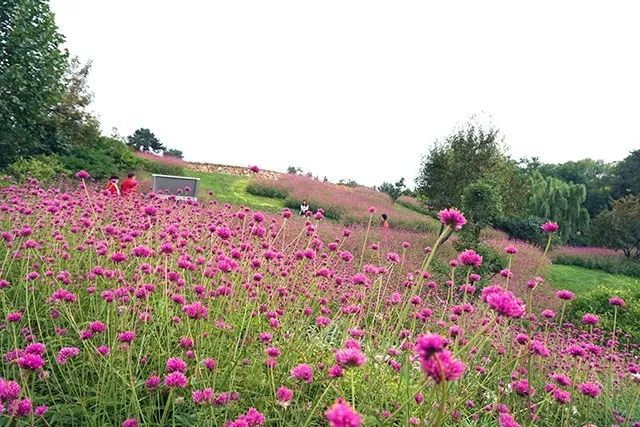 大连重阳节旅游攻略,大连九月秋游攻略
