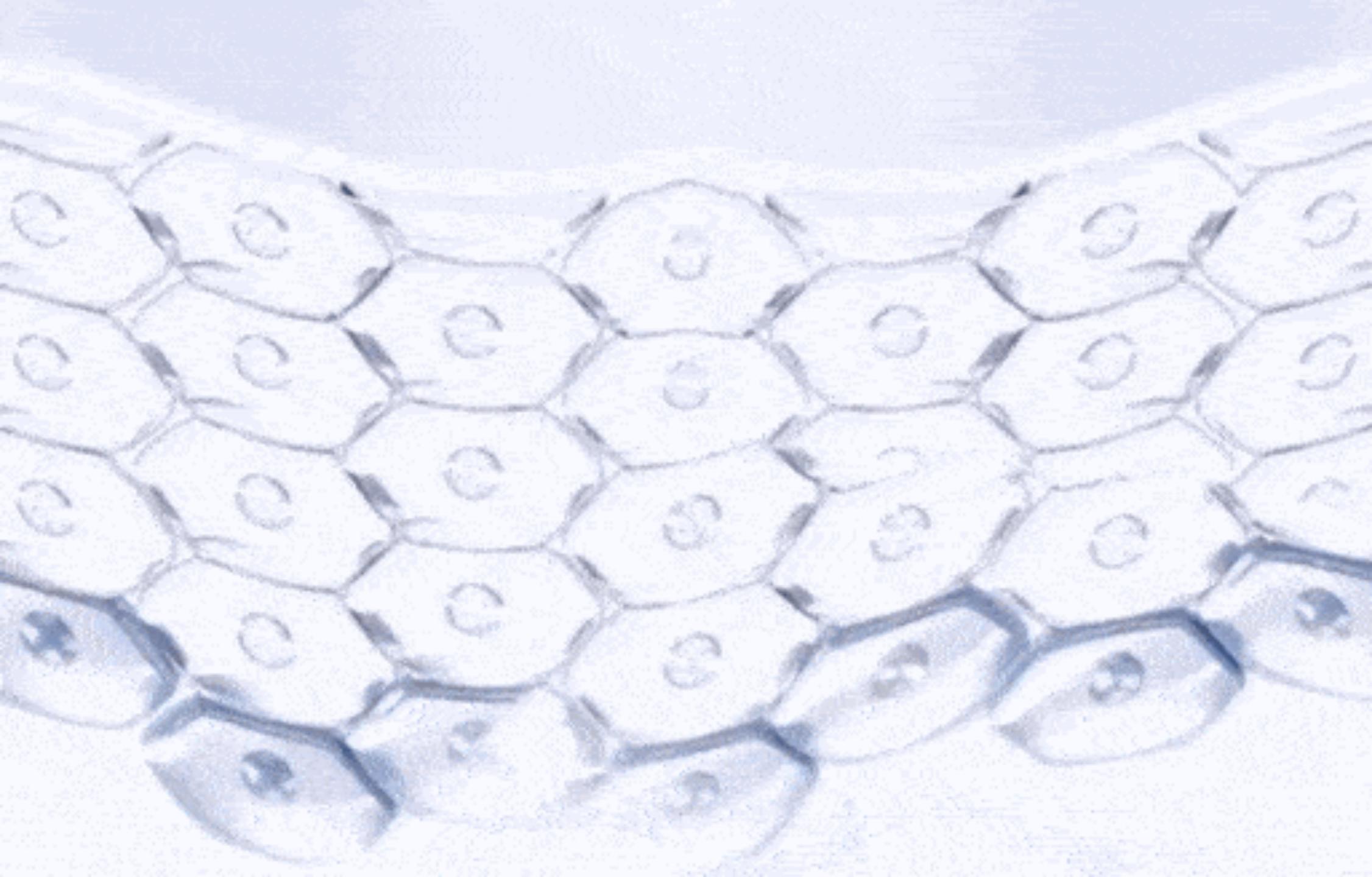 海丝林海藻面膜，敷40分钟也不会倒吸的神仙面膜