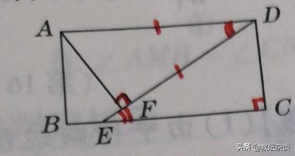 八年级数形结合,数学八年级下册矩形的性质难题