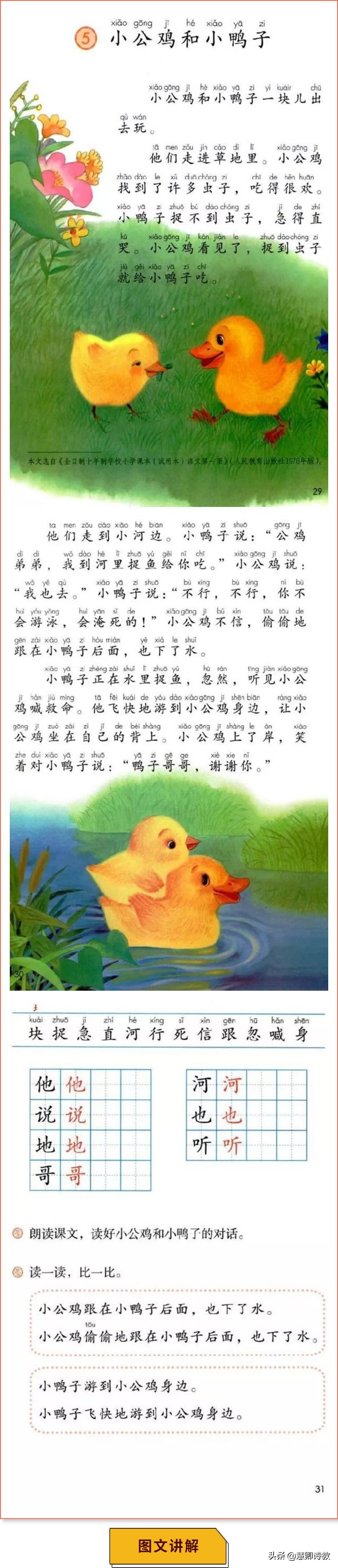 语文小公鸡和小鸭子讲解,语文微课堂小学