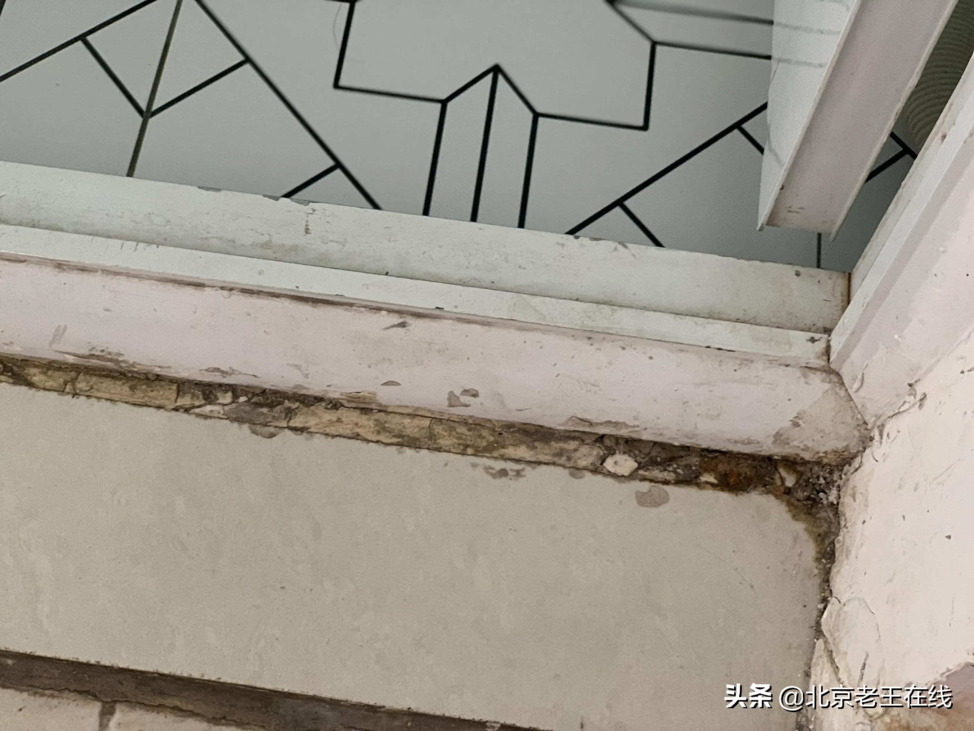 川渝8日出游,成都旅游如何选择民宿更安全