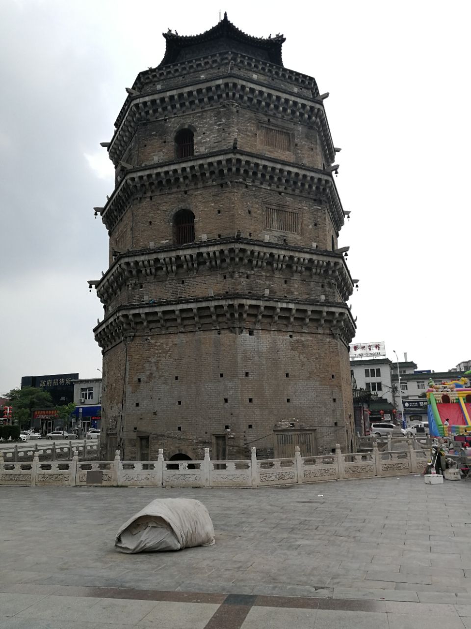 奇怪的古塔燕子----“严冬不南迁，有足不成行”