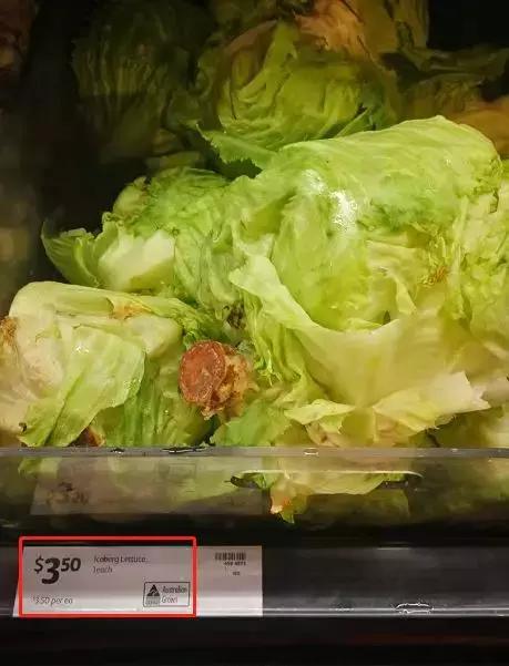 澳洲大龙虾奢华大餐,澳洲大龙虾海鲜大餐