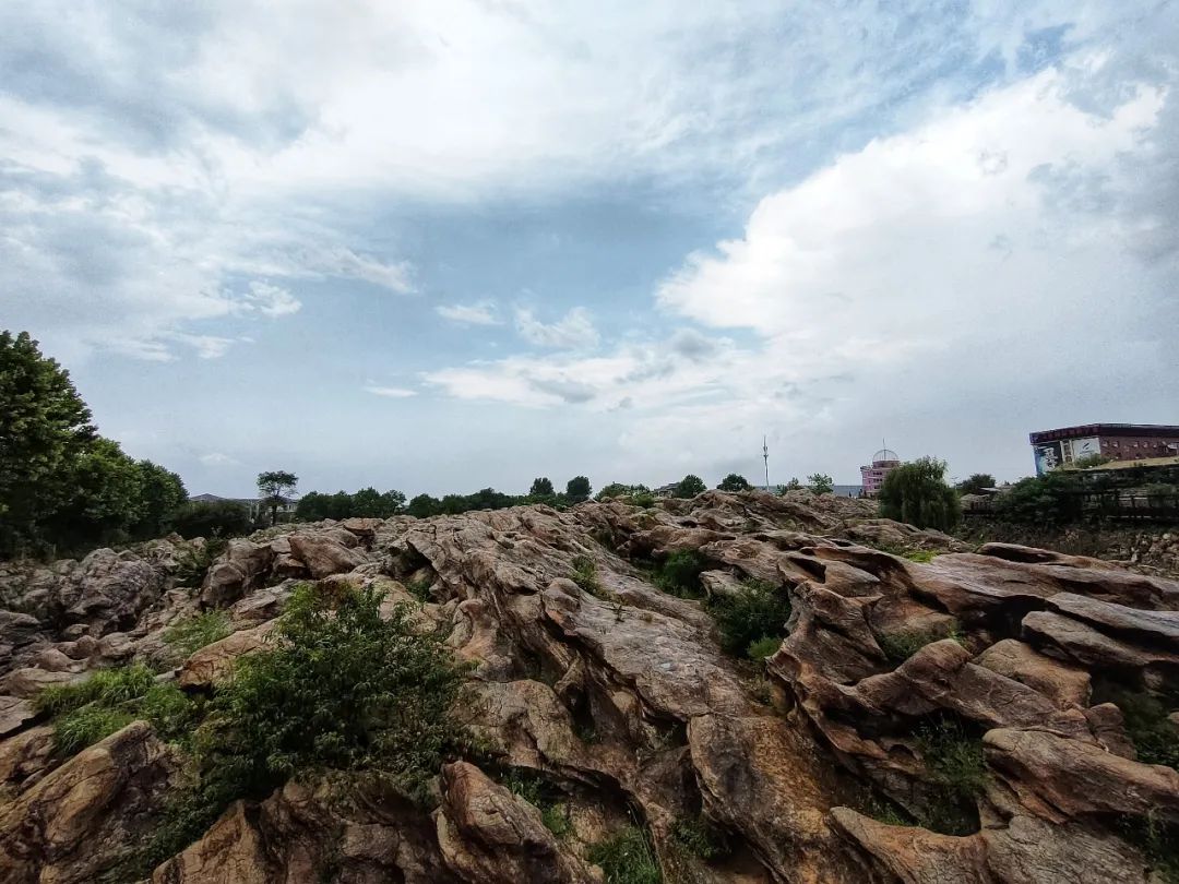 大连金石园奇石名称,大连市金石园