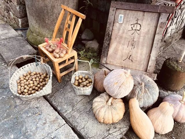 年轻时还有几次机会，我们可以暂停工作，连续休息30天？