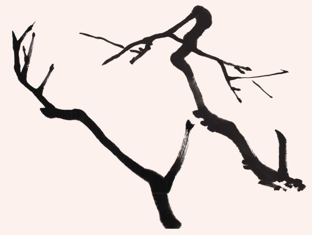 国画梅花花树的画法简单视频,写意花鸟画梅花的画法视频