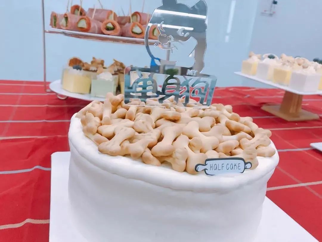 100个创意生日会,幼儿园动物主题生日会方案创意