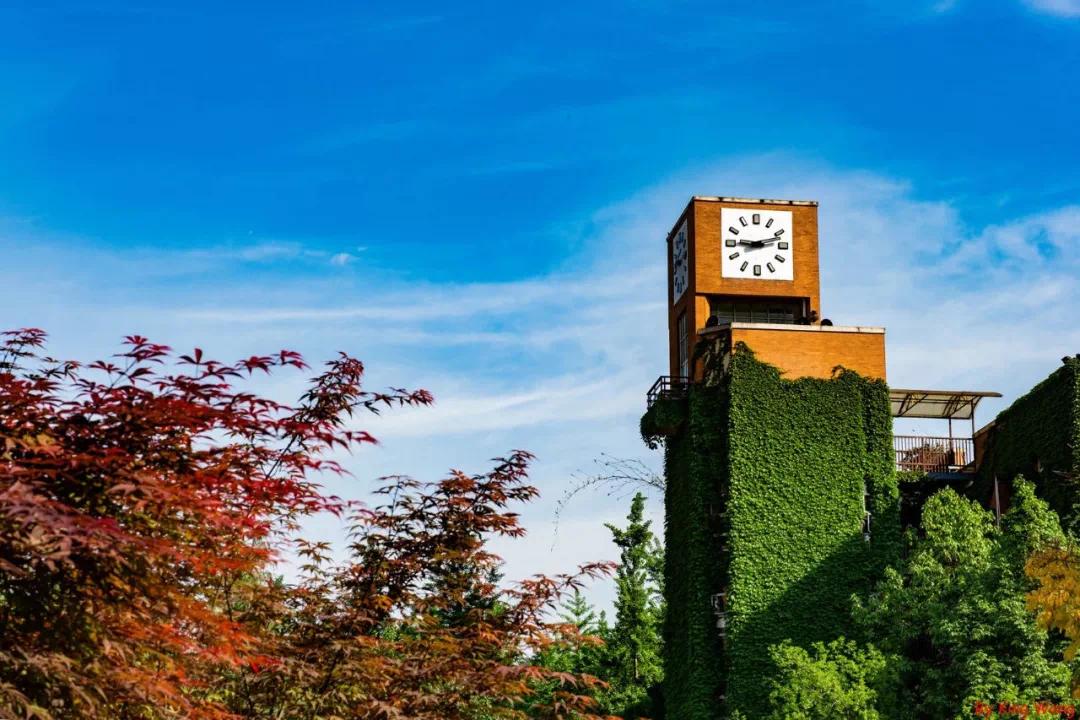 学校又多又集中，“成华五片”此前是被低估了吗？