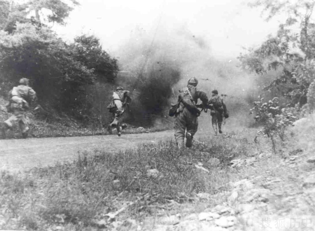 113师参加过哪些战争,113师所有战役