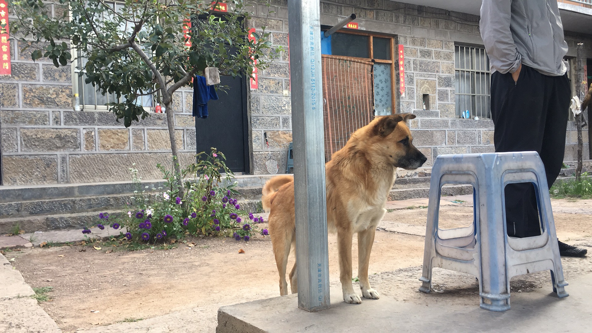 太行山民风民俗图,太行山旅游攻略吃住