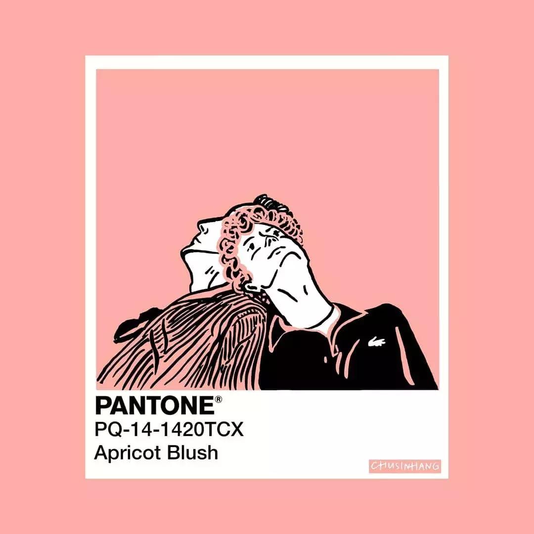 鏈夊摢浜涙彃鐢婚鏍肩殑鐢靛奖,鎻掔敾鐢靛奖鏄粈涔堢被鍨嬬殑鐢靛奖