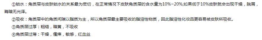 你真的了解肌肤吗,你真的懂肌肤吗