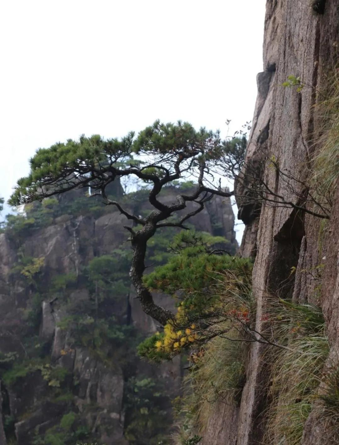 涓嶅埌闀垮煄闈炲ソ姹変笉鐧讳笢灞辨尯閬楁喚,涓嶅埌闀垮煄闈炲ソ姹変笉鐧绘嘲灞辨槸閬楁喚