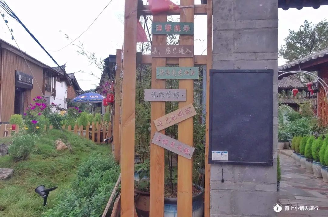 背上小猪去旅行（第一季）自驾穿越中国｜雪山的遗憾