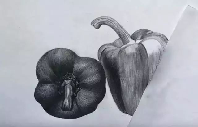 素描彩铅蔬菜画,蔬菜素描画法步骤图
