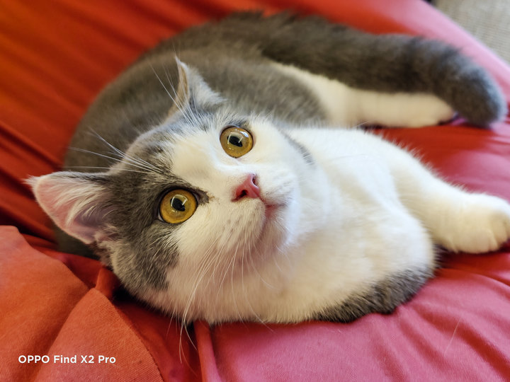 oppofindx2pro整体评测,oppofindx2pro最新测评