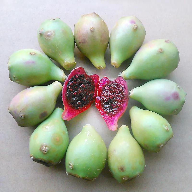 热带水果名单,热带水果王国攀枝花