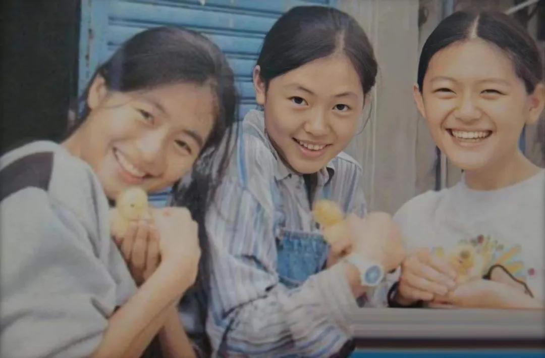 台湾偶像剧天王天后沉沦记（1）