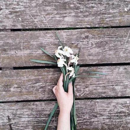 暗恋很苦就像夏季的风,暗恋很苦像夏季的风