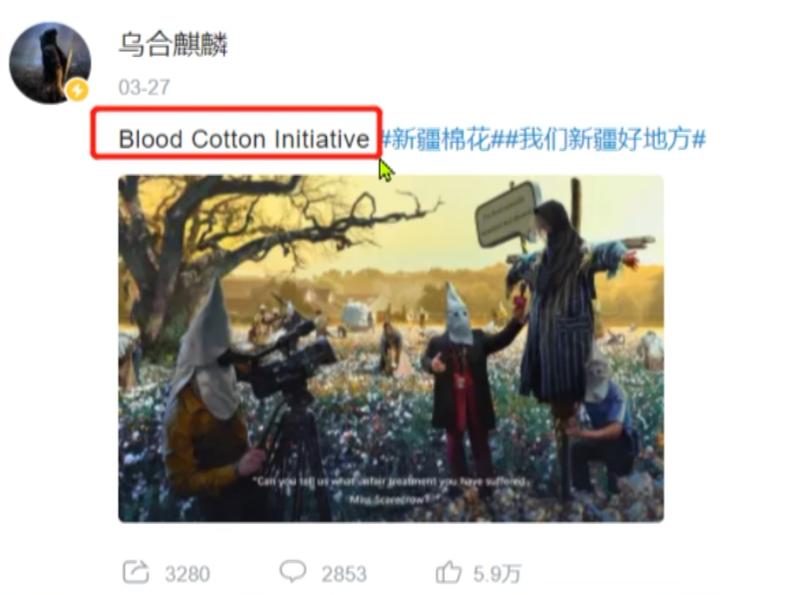 乌合麒麟血棉解析,乌合麒麟怒揭血棉真相