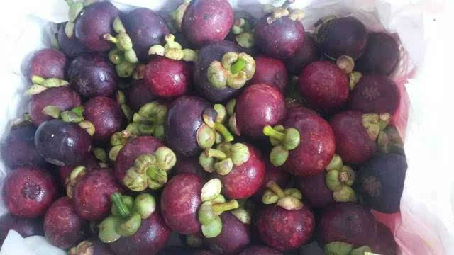 怀孕期间这五种食物要多吃,怀孕后别错过这八种食物