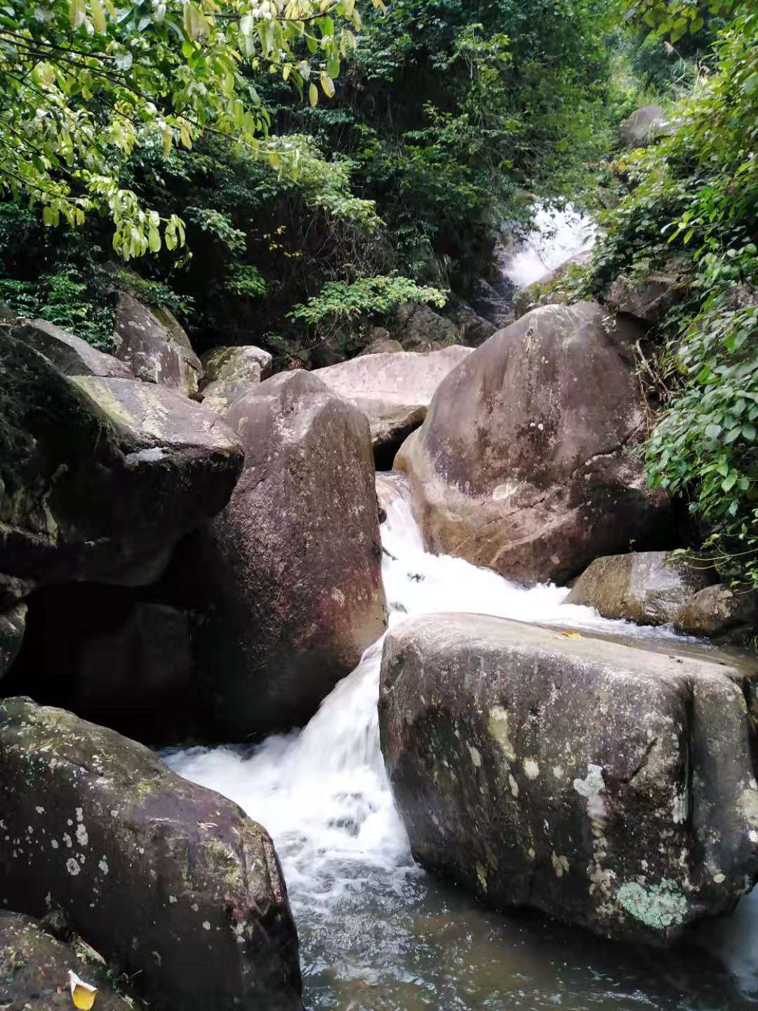 深山野河鱼好钓吗,深山小溪钓什么鱼比较好