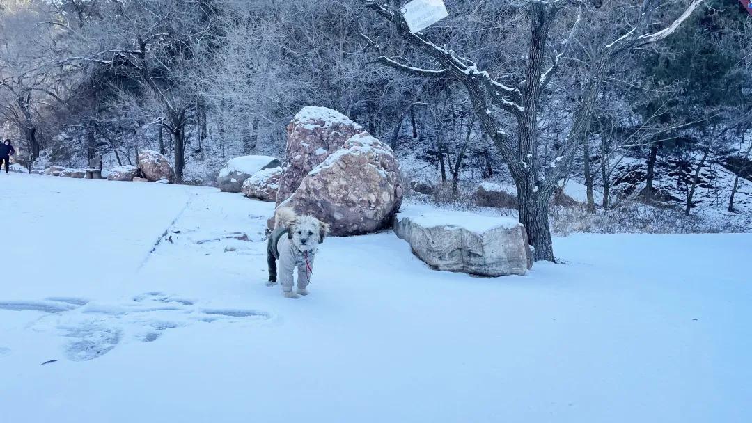 宛如仙境的景点,犹如仙境般的雪景