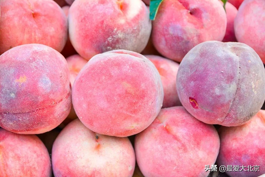 带你逛北京最大早市,北京正宗早市推荐