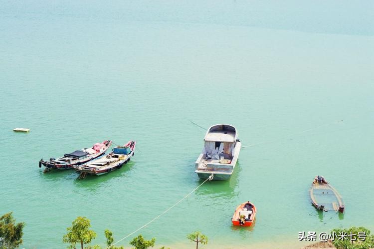 同安丙洲煎蟹哪家好吃,在同安吃海鲜