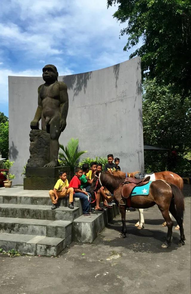 世界国家地理印度尼西亚,印度尼西亚地理状况