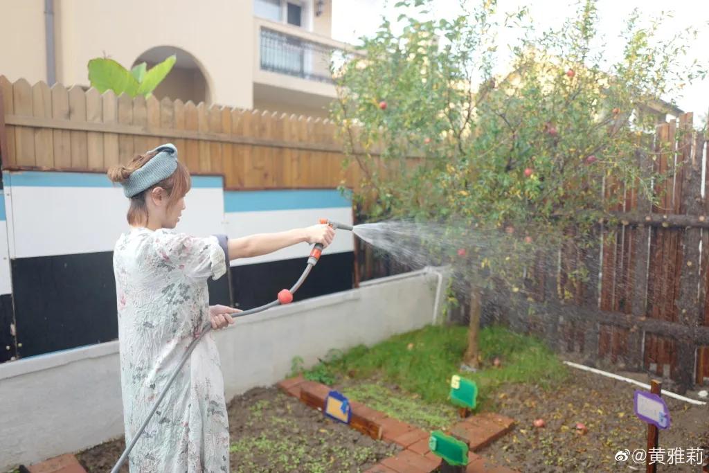 我们为什么羡慕黄雅莉的生活,黄雅莉豪宅在哪里