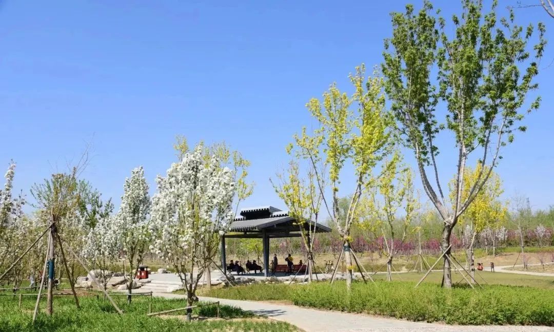 去看万紫千红的花海,五一近郊赏花去看缤纷七彩花田