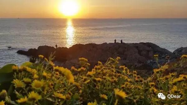 青岛景点春节免费开放通知,青岛六十岁老人去哪些景点免费