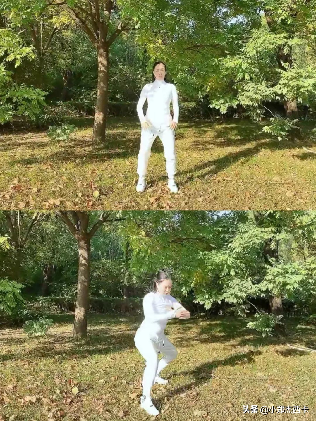 宁静张雨绮大张伟解密,宁静张雨绮黄龄