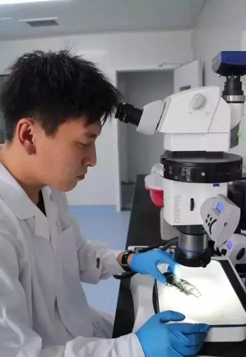 山西太原：拳头大的“虫皇帝”悄悄潜入太原！国内无天敌！海关首次截获！一旦入侵后果难料