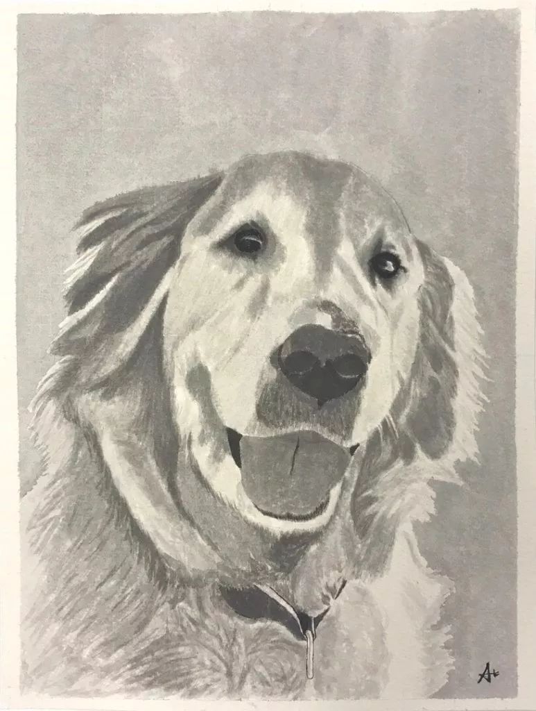 被足球耽误巨星,被足球耽误的视频