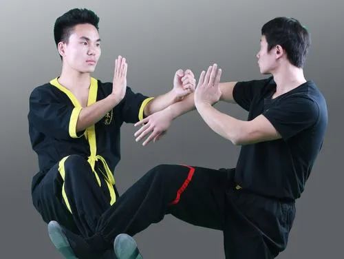 老外咏春拳实战视频,咏春拳实战外国