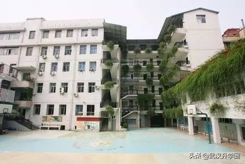 武汉公办小学,武汉洪山区公办小学