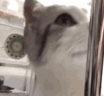 开淘宝天猫店需要什么材料,开个淘宝天猫店要多少钱入驻