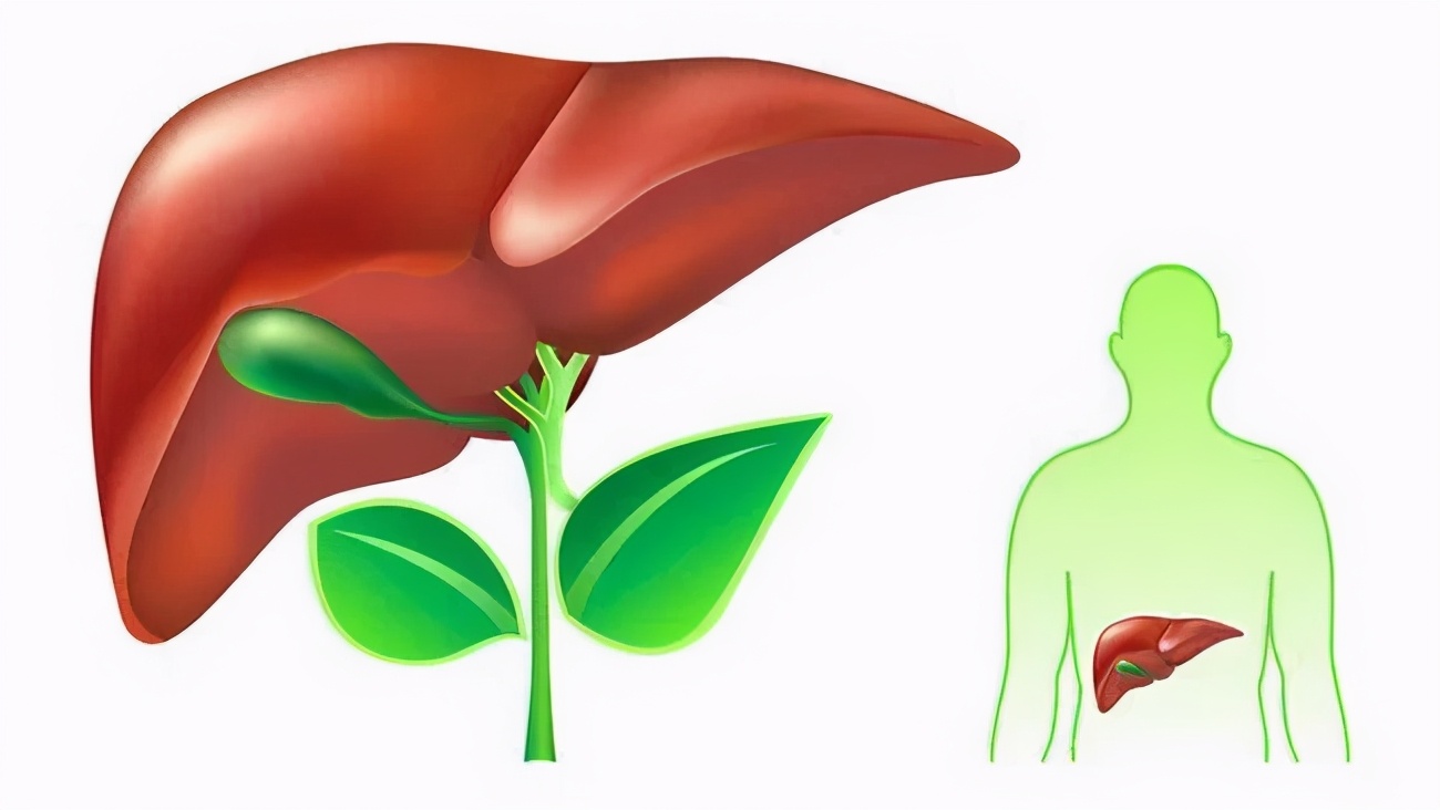 益生菌能防癌致癌吗,益生菌与肝癌有什么关系