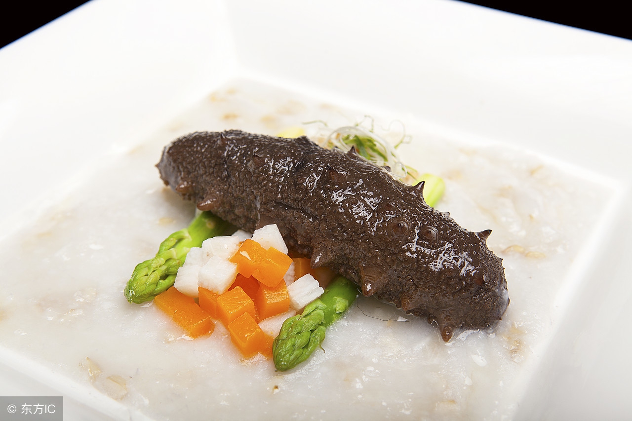 即食海参与淡干参营养有什么区别,关于海参人们最想知道的问题