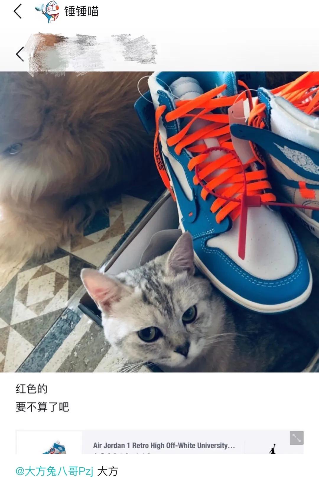 aj藤原浩fake,藤原浩新鞋