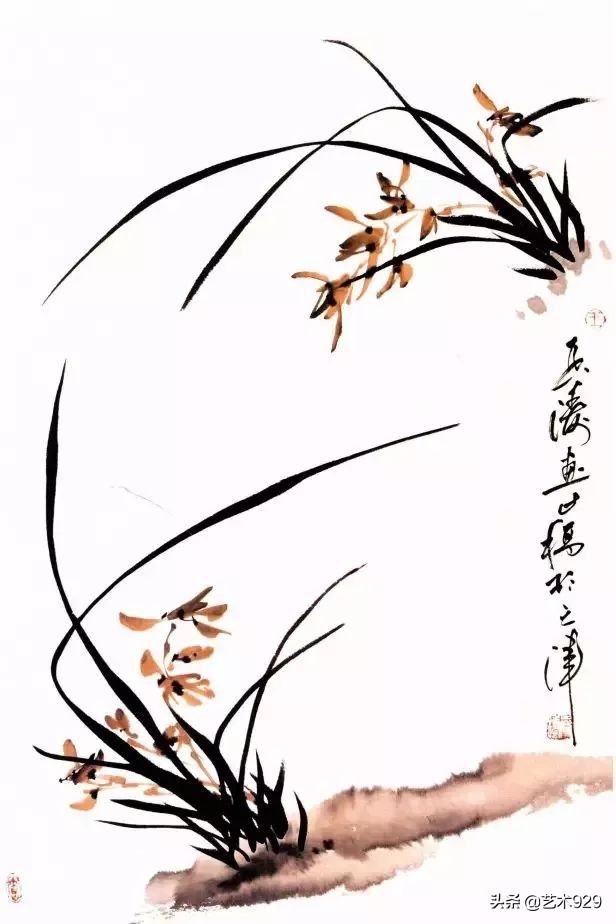国画兰花的画法太棒了简单易学,泰国兰花绘画技法