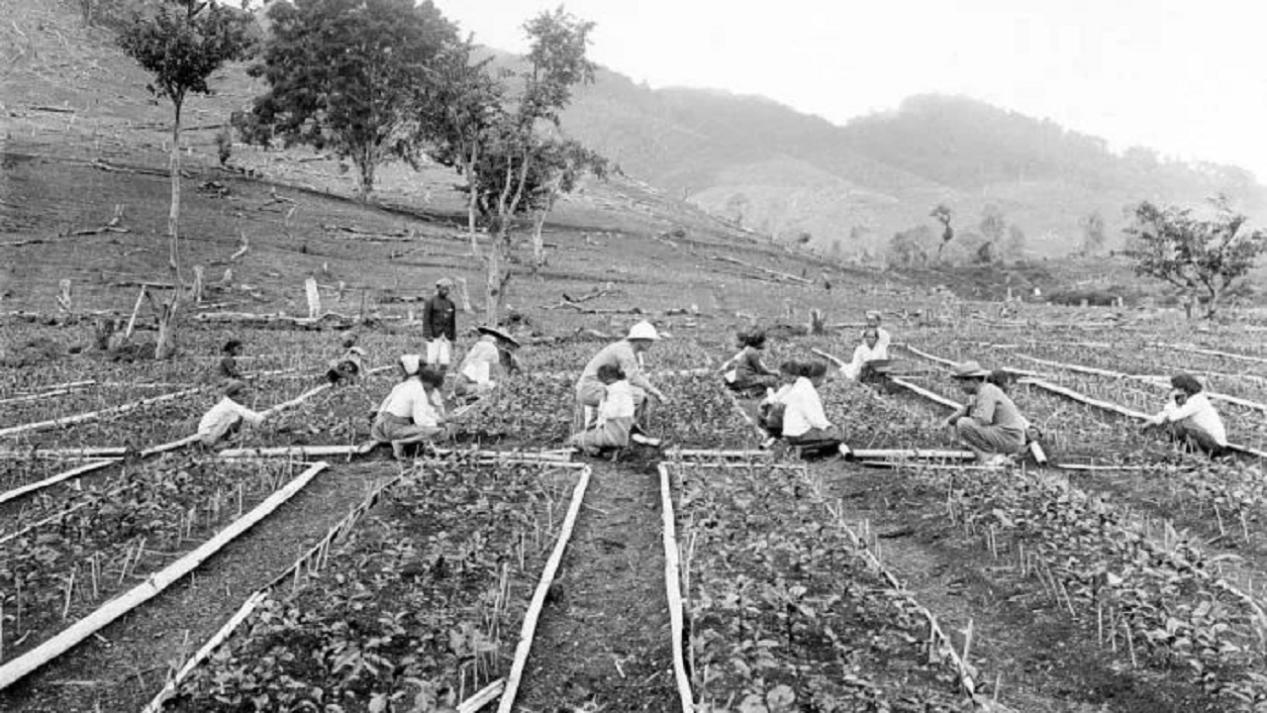 脚气是日本的高发病吗,脚气病会不会致死